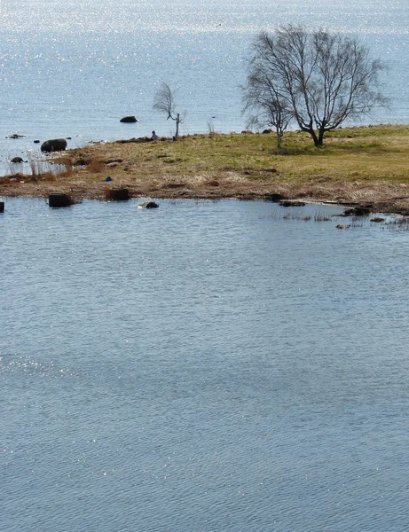 美丽的瑞典海景观 — 图库照片