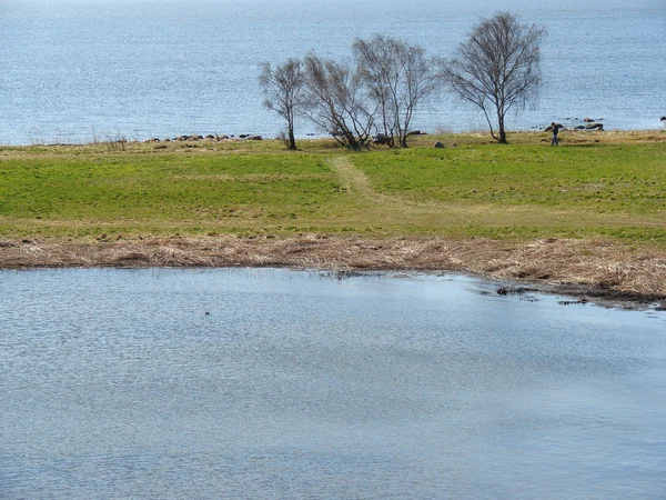 Piękne morze szwedzki krajobraz — Zdjęcie stockowe