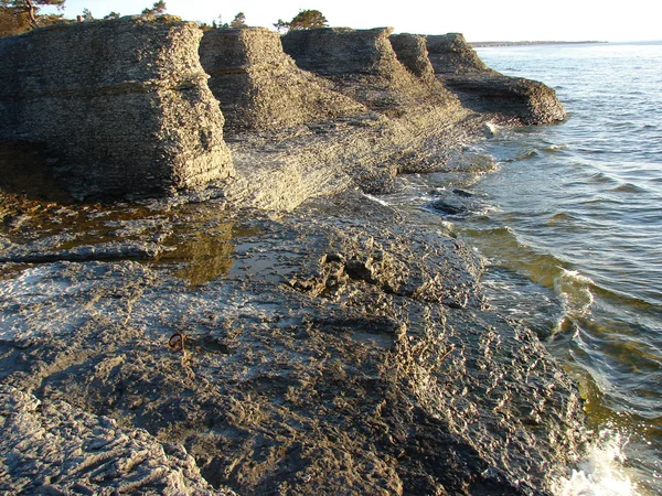 Kamenné moře pobřeží v létě — Stock fotografie