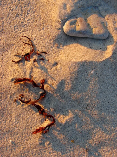 Beautiful sand background — Stock Photo, Image