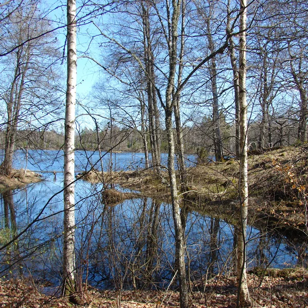Piękny krajobraz szwedzki — Zdjęcie stockowe