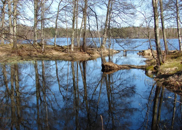Piękny krajobraz z jeziorem i lasem — Zdjęcie stockowe