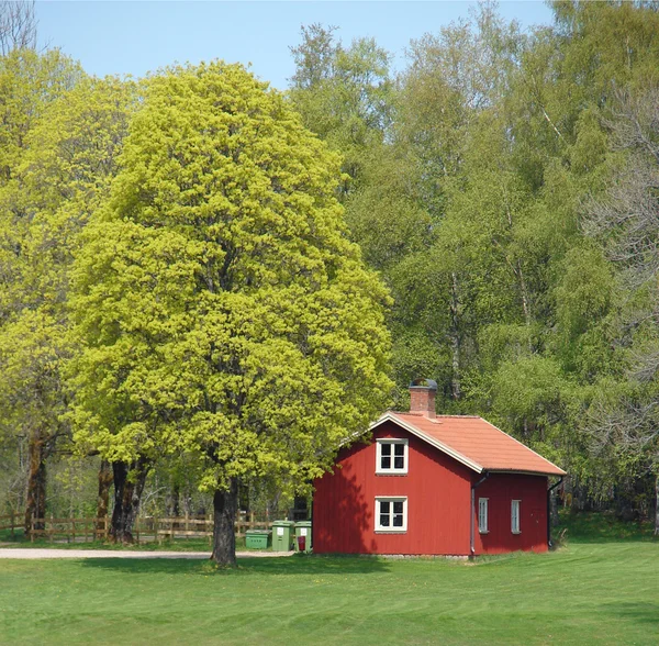 Традиционный красный шведский дом — стоковое фото