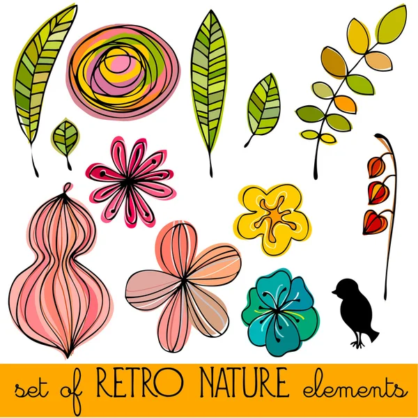 Set van geïllustreerde abstracte retro natuurelementen — Stockfoto