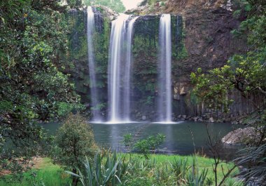 Whangarei falls clipart