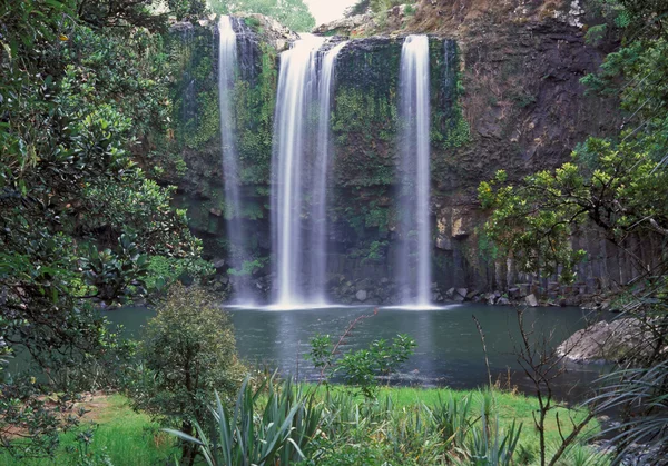 Whangarei Falls — Stok fotoğraf