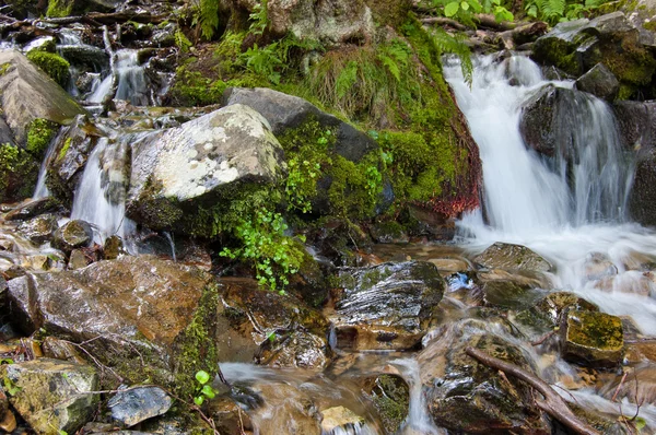 stock image Waterfall