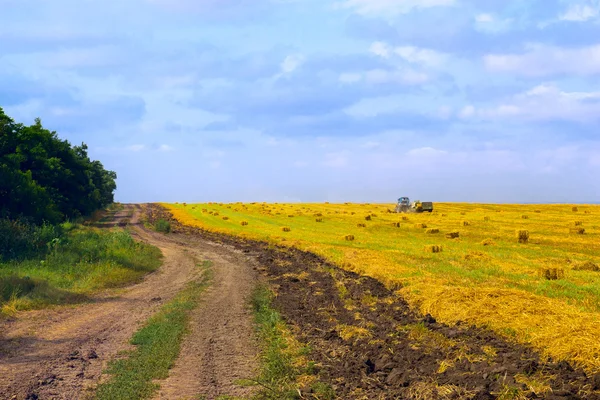 Rural road at harvest — Stock Photo, Image