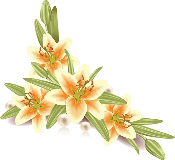 Lily bloemen Stockillustratie