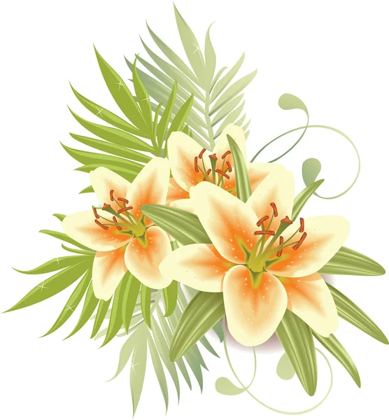 Liliom virágok Stock Illusztrációk