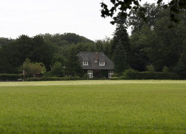 House in a field clipart