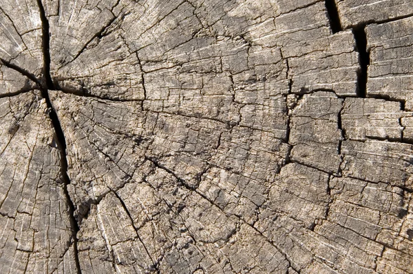 Tekstur kayu lama yang retak — Stok Foto
