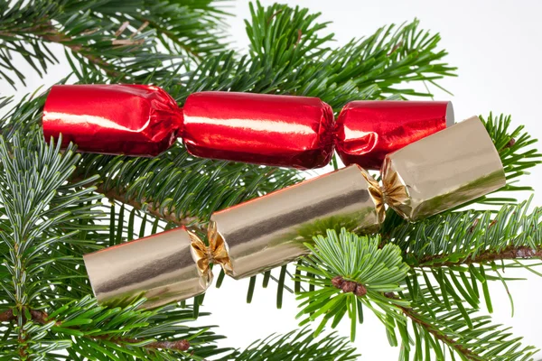 Galletas de Navidad en un pino — Foto de Stock
