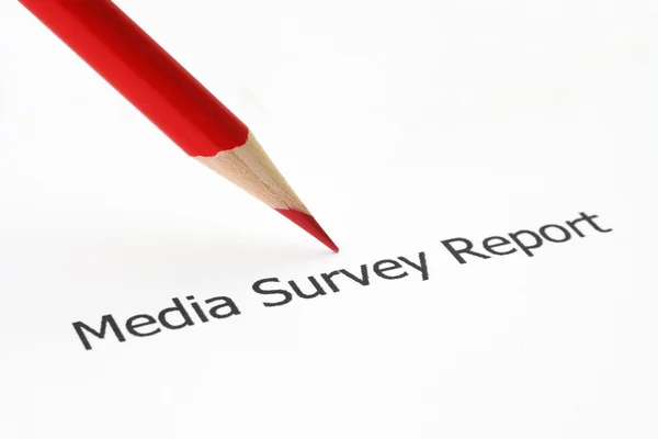 Media survey report — Stock Photo, Image