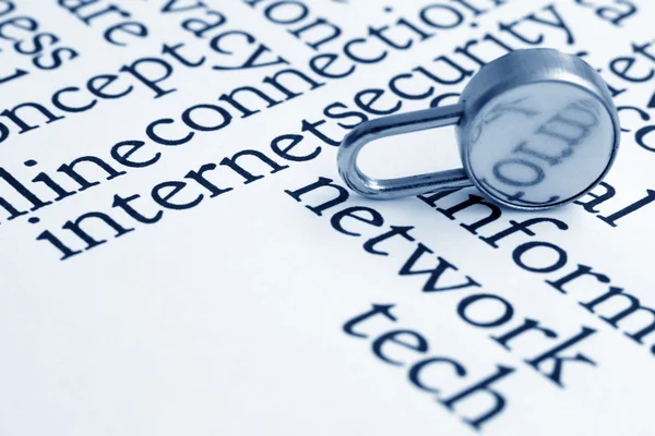 Internet security — Stock Photo, Image