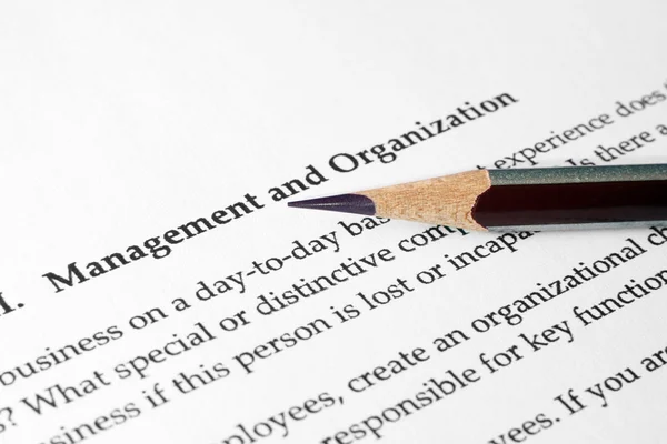 Management and organization — Stock Photo, Image