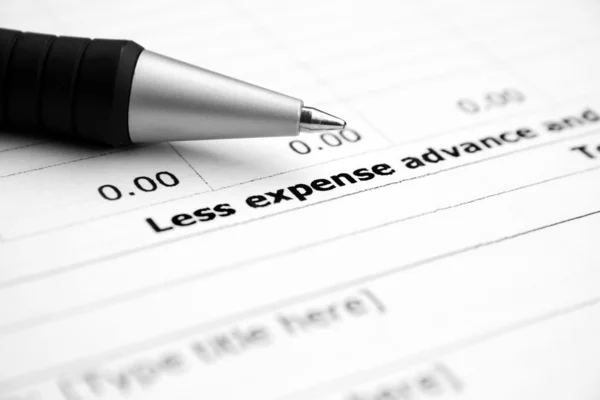Expense form — Stock Photo, Image
