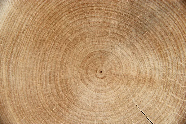 Drewniane teksturowanej — Zdjęcie stockowe