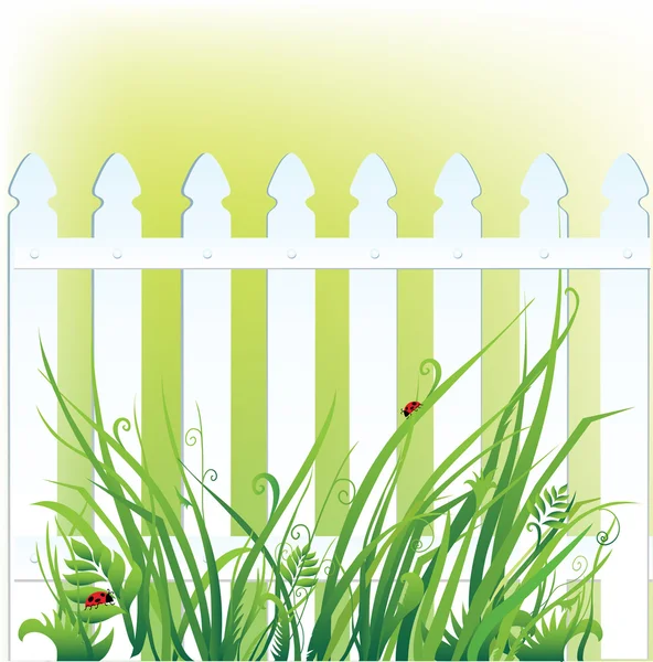 Clôture et herbe — Image vectorielle