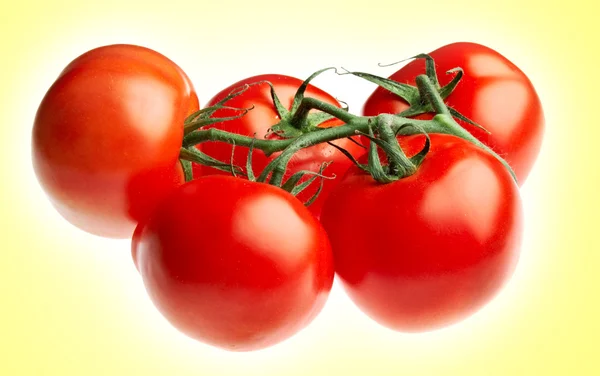 Стиглий помідор — стокове фото