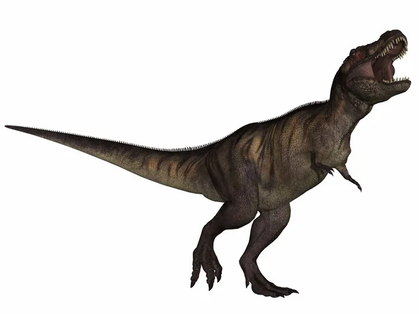 티라 렉스-3d 공룡 — 스톡 사진