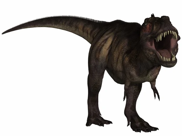 Tyrannosaurus Rex- 3D Dinosaur — Stock Photo, Image