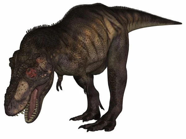 Tyrannosaurus rex- 3D-Dinosaurier — Stockfoto