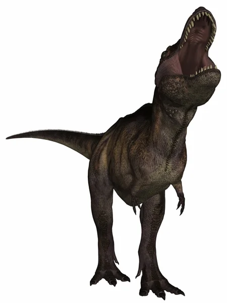 A Tyrannosaurus rex - 3d dinoszaurusz — Stock Fotó