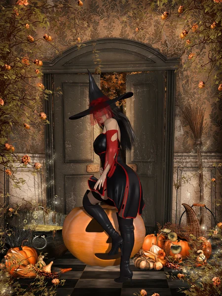 Halloween boszorkány — Stock Fotó