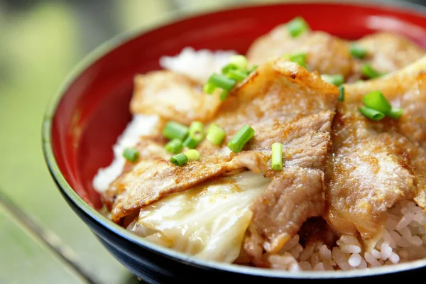 Porco com arroz — Fotografia de Stock