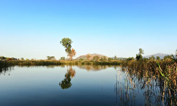 Landscape of lake — Stock Photo, Image