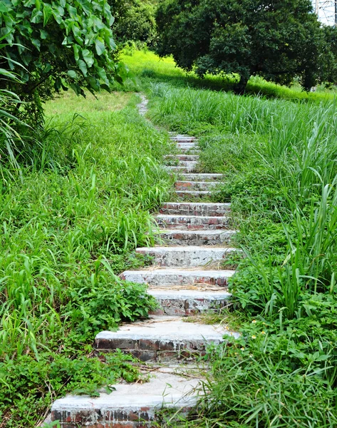Path go up mountain — Stock Photo, Image