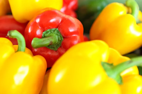 Stock image Bell pepper mix