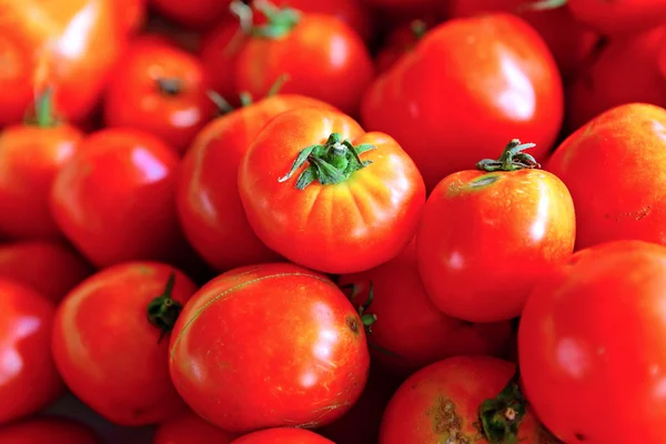 Ekologiczne pomidory w rynku — Zdjęcie stockowe