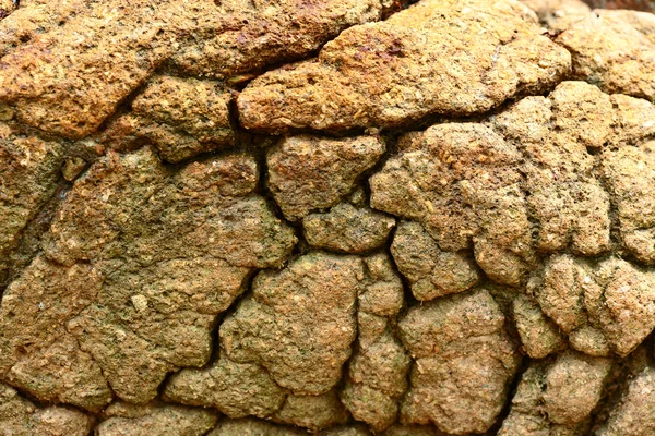 Tierra seca y agrietada — Foto de Stock