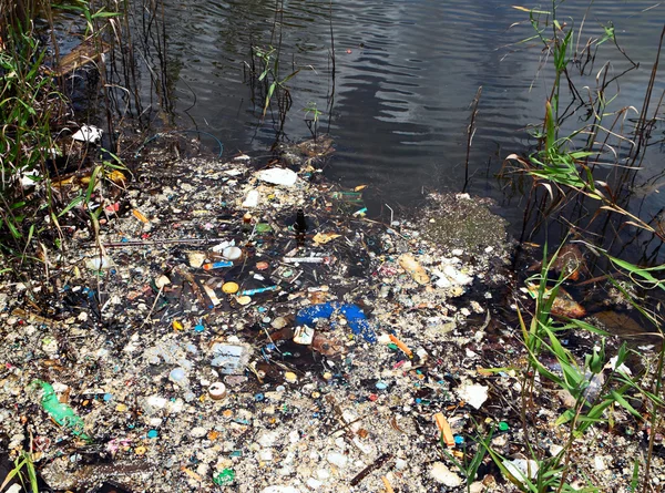 Загрязнение воды в реке — стоковое фото