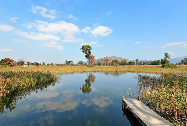 Озерний пейзаж з дерев'яним пірсом — стокове фото
