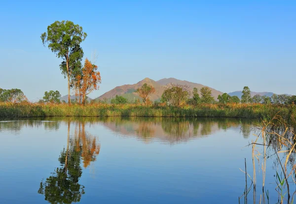 stock image Lake with clear water and trees