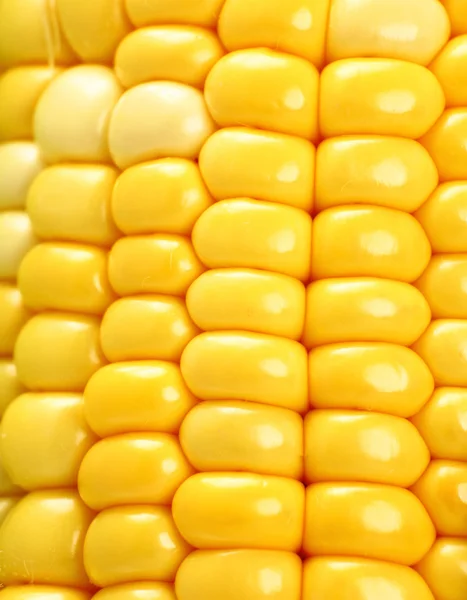 Kukorica közelről — Stock Fotó