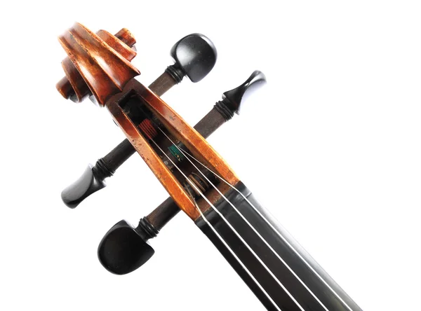 바이올린 머리 — 스톡 사진