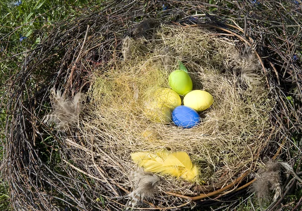 Oeufs de Pâques colorés dans un nid — Photo