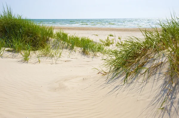 Písečné duny na pláži jurmala. — Stock fotografie