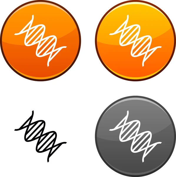 ДНК кнопки . — стоковий вектор