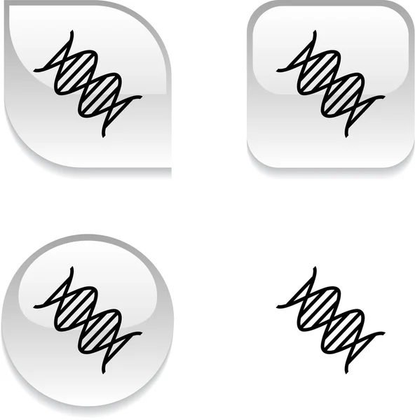 Глянсовий кнопку ДНК . — стоковий вектор