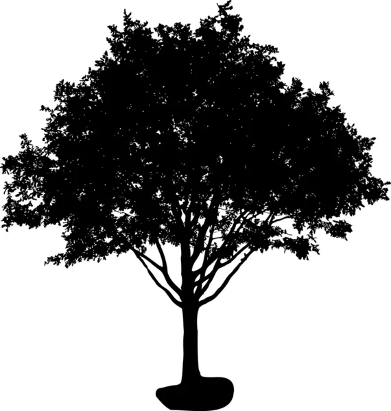 Silueta copac — Vector de stoc