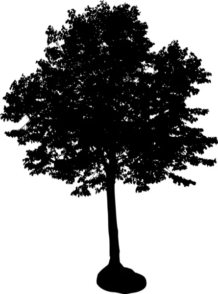 Silhouette d'arbre — Image vectorielle