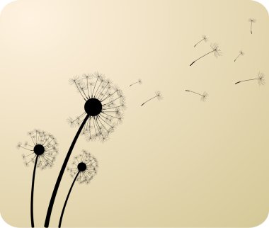 Dandelions. clipart