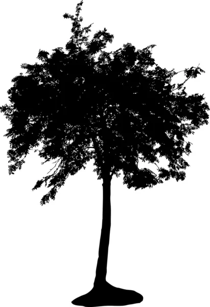 Silueta de árbol — Archivo Imágenes Vectoriales