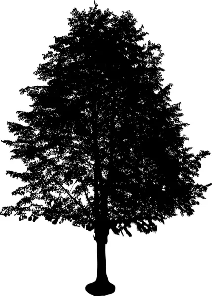 Силуэт дерева — стоковый вектор