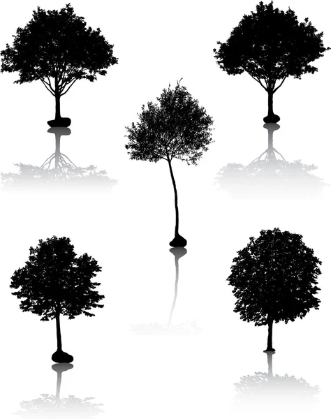 Siluete de copaci. [Vector] . — Vector de stoc